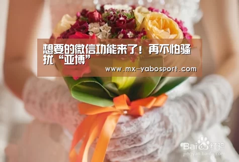 想要的微信功能来了!再不怕骚扰“亚博”(图1) 亚博