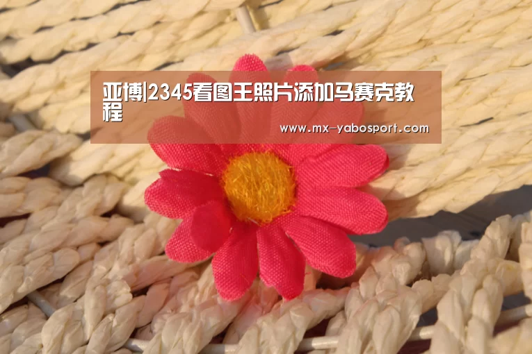 亚博|2345看图王照片添加马赛克教程(图1) 亚博官网